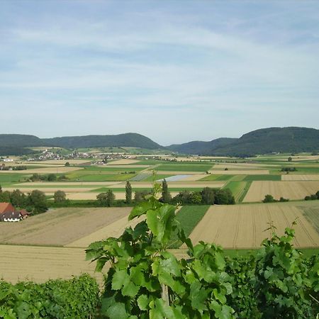 Rueedi - Weinfasshotel Trasadingen Экстерьер фото